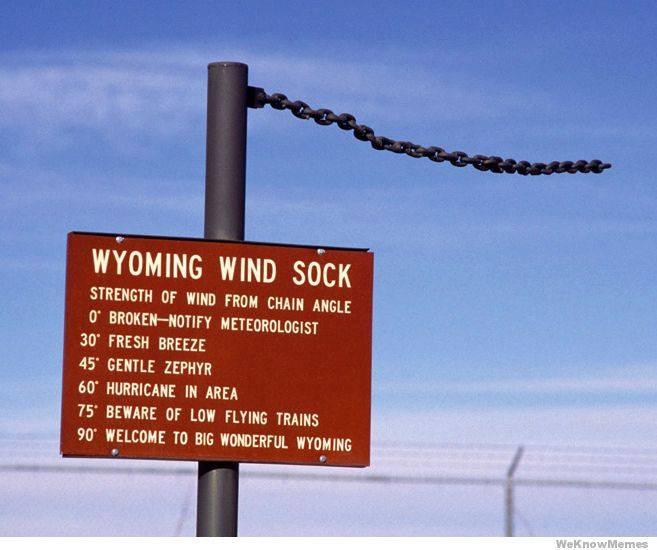 Wyoming Wind Sock.png