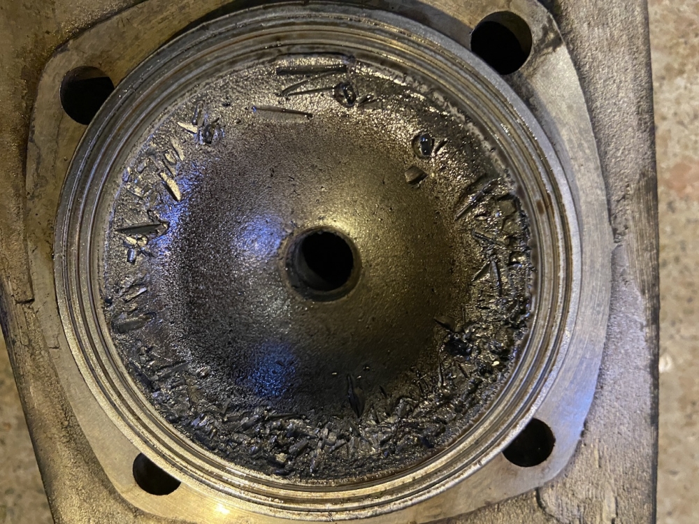 IMG_5979.thumb.jpeg.c1a85777bb4e7fc29073