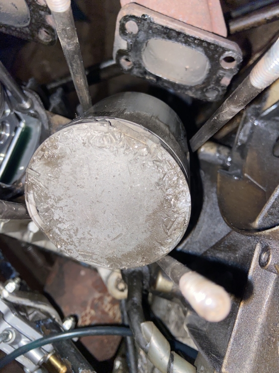 IMG_5981.thumb.jpeg.66cf32788295f5b92739