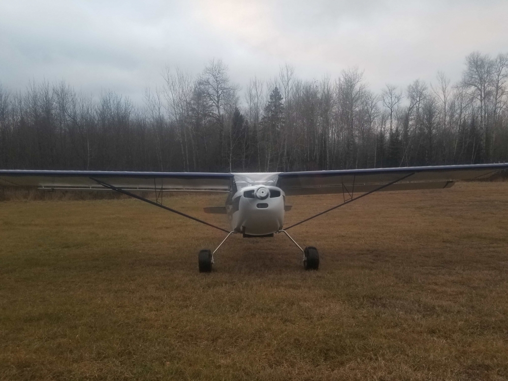 taxi day 11 7 2025.jpg